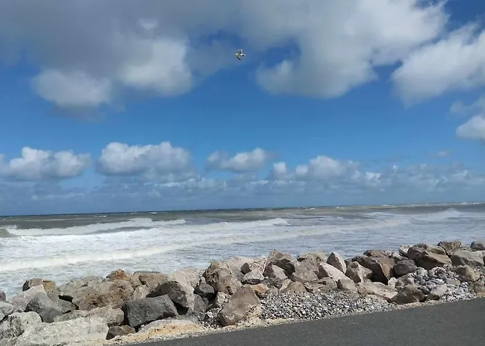 Appartement Avec Vue Sur Mer